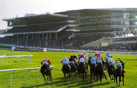 cheltenham 2023 race card